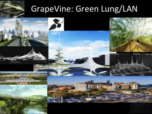 City Greening - Grapevine